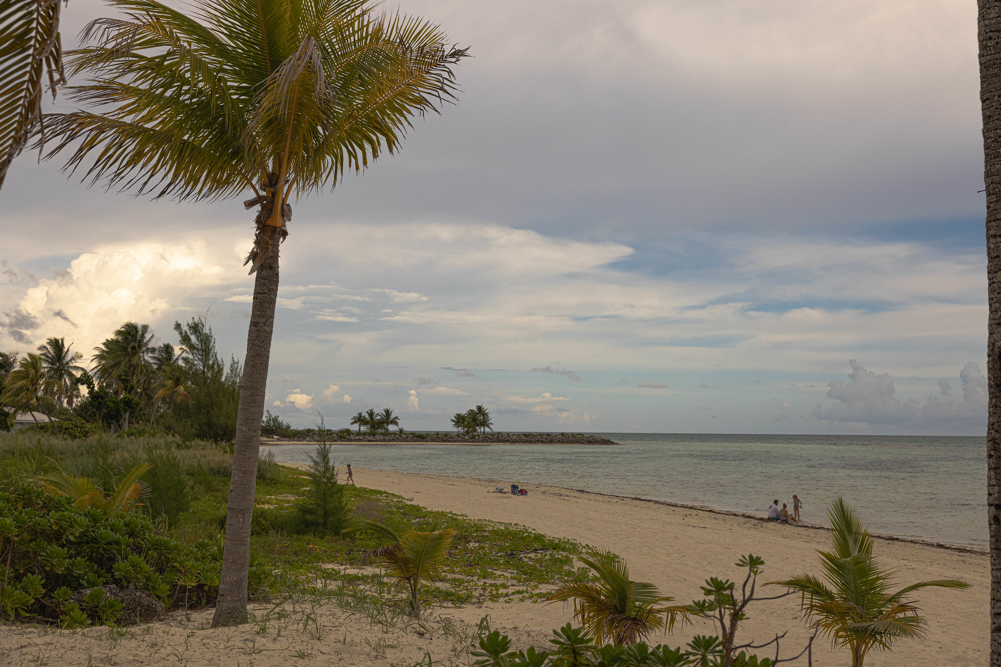 Grand Bahama beach